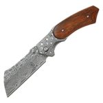 Buckshot Thumb Open Spring Assisted Stainless Steel Handle With Inlay Classic Razor Pocket Knife (DS)