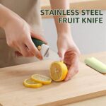 YONOVO Travel Pocket Paring Knife Fruit Knife Peeling Vegetable Peeler Multi Function Small Portable Stainless Steel Pocket Knife for Travel, Camping, Kitchen