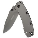 Kershaw Cryo II Pocket Knife (1556TI) 3.25-inch 8Cr13MoV Stainless Steel Blade and 410 Stainless Steel Handle, Full-Body Titanium Carbo-Nitride Coating, 4-Position Deep Carry Pocket Clip, 5.5 oz.