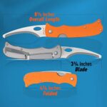 Maxam Folding Hunting Knife – Stainless Steel Hawkbill Blade for Skinning, Gutting – G10 Handle, Pocket Clip, Frame Lock