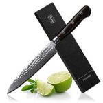 6 Inch Utility Knife, Professional Damascus Utility Kitchen Knife 67-layer Handmade Damascus Steel Knife with Japanese VG10 Super Steel Core
