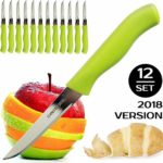 BRENIUM Paring and Garnishing Knife, Set of 12 Knives with Sharp Straight Edge 3 Inch Blade, Stainless Steel, Spear Point, Fruit and Vegetable Knifes, Green