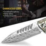 NEDFOSS Pocket Knife, Damascus Pocket Knife with Abalone Shell Handle, Handmade Forged Damascus Steel Folding Knife with Gift Box, Excellent Gifts for Men Women (Shell)