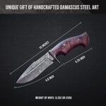 BIGCAT ROAR Handmade Damascus Hunting Knife – Bushcraft Fixed Blade Hunting Knife with Sheath and Walnut Wood Handle – 10? EDC Skinning Knife – Beast Hunter