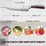 PAUDIN Chef Knife with Sheath- Pro Kitchen Knife 8 Inch Chef’s Knives with High Carbon Stainless Steel, Sharp Knife with Ergonomic Handle for Home Kitchen Restaurant