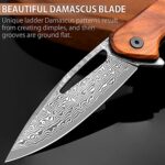 NedFoss PEGASUS Damascus Pocket Knife for Men, 3.5″ Ladder Pattern Damascus Steel Folding Knife with Rosewood Handle, Ball Bearings Pivot, Deep Carry Clip, EDC Knife Camping Gifts for Men Women