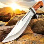 Ridge Runner Woodland Reverie Bowie/Fixed Blade Knife – Stainless Steel, Full Tang – Genuine Zebrawood – Nylon Sheath – Collecting, Field Use, Display and More – 14 1/2″